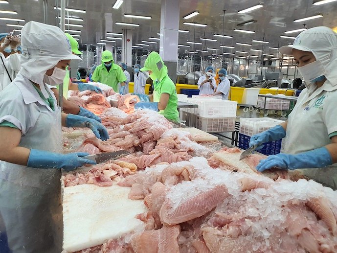 Pabrik Ikan Vietnam